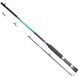 Unbranded Tidewater Bass Rod