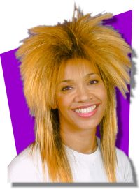 Tina Turner Wig