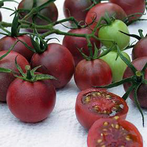 Unbranded Tomato Black Cherry Seeds