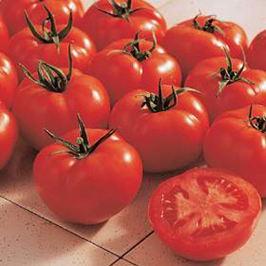Unbranded Tomato Ferline F1 Hybrid Seeds