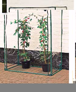Unbranded Tomato Growbag Greenhouse