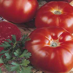Unbranded Tomato Super Marmande Seeds