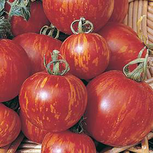 Unbranded Tomato Tigerella Mr Stripey Childrens Seeds