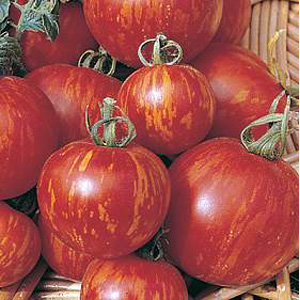 Unbranded Tomato Tigerella Mr Stripey Seeds