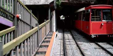 Unbranded Track   Trail Train /Coach Link Btw Queenstown