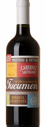 This Cabernet is made by Bodega Budeguer, a family-owned winery whose estate covers over 100 hectares, predominantly in Maipu. Winemaker Juan Manuel Mallea brings with him experience of working at wineries in Spains Toro and Ribera del Duero regions.