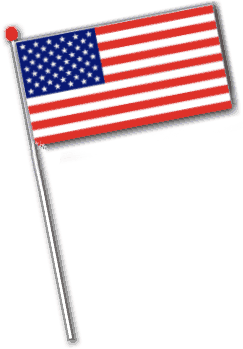 Unbranded U.S.A Hand Flag (11 inch x 8 inch)