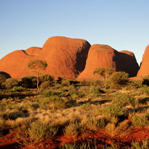 Unbranded Uluru Sunrise and Sacred Sights - Child