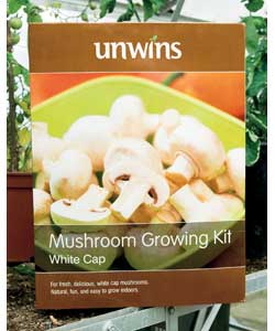Unbranded Unwins Mushroom Growing Kit