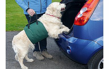 If your pet is growing old or arthritic, give him a helping hand into your car without straining your back. Simply attach this custom-designed harness around your dogs torso, get him to place his front paws on the car bumper or sill, then give the 