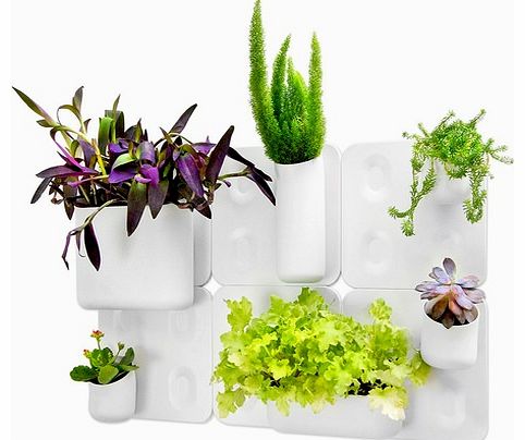 Urbio Vertical Garden The Urbio Vertical Garden can be used as a storage solution or indoor wall garden! Choose the Happy Family set or separate items to create your own. The Wall Plate is made from powder coated steel and measures around 1.3 cm x 25