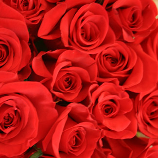 Unbranded Valentine 50 Red Roses