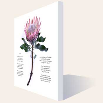 Unbranded Valentine` Day Personalised Poem Flower Canvas