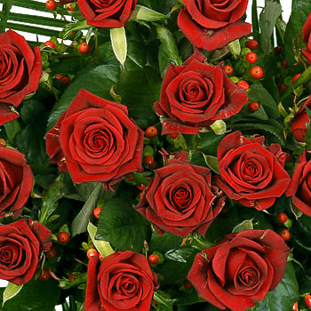 Unbranded Valentines - Two Dozen Red Roses - flowers