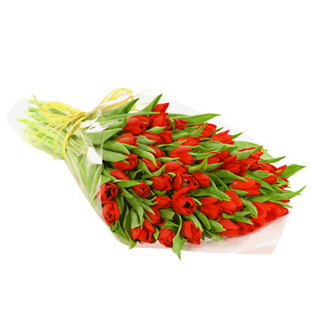 Unbranded Valentines Day Fifty Red Tulips - flowers