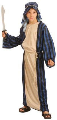 Value Costume: Arab Shiek (Small 3-5 yrs)