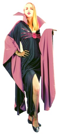 Unbranded Value Costume: Female Purple Priestess