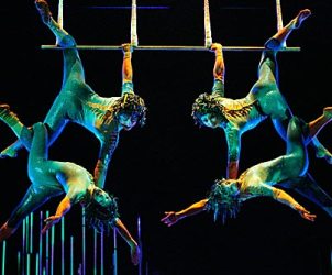 Unbranded Varekai - Cirque du Soleil, Amsterdam / Varekai in Hamburg