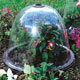 Robust high quality plastic vented cloches