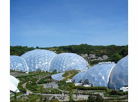 Unbranded Visit The Eden Project, Afternoon Tea and