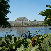 Unbranded Visit to Kew Gardens, Palace and Cream Tea for