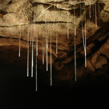 Unbranded Waitomo Glow Worm Caves - Child