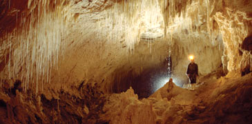 Unbranded Waitomo Glowworm Caves