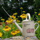 Unbranded Watering Can Design Garden Radio