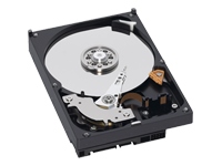 Unbranded WD RE2-GP WD5000ABPS - hard drive - 500 GB - SATA-300