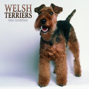 Welsh Terrier Calendar