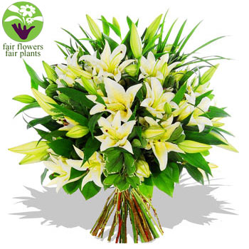 Unbranded White Lily Sympathy Bouquet - flowers
