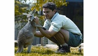 Unbranded Wild Australia Experience at Taronga Zoo - Child