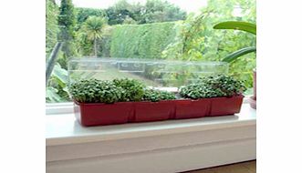 Unbranded Windowsill Microgreens Seeds Kit