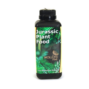 Wollemi Pine Jurassic Plant Food
