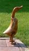 Unbranded Wooden Ducks: approx. height - 45cm - Antique butterscotch