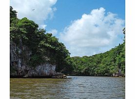 Take a visit deep into the National Park and nature sanctuary of Los Haitises and be amazed at the different fauna and flora.