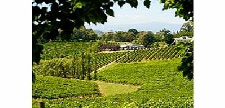 Discover Victorias Yarra Valley wine region on this day trip from Melbourne. The Yarra Valley is Victorias premium wine region with rolling green hills overlooking the Great Dividing Range. Of the many wineries in the area, you may visit estates suc