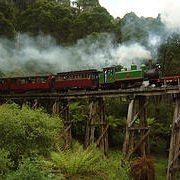 Unbranded Yarra Valley Wineries, Puffing Billy and
