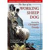 Unbranded Year Of The Working Sheep Dog