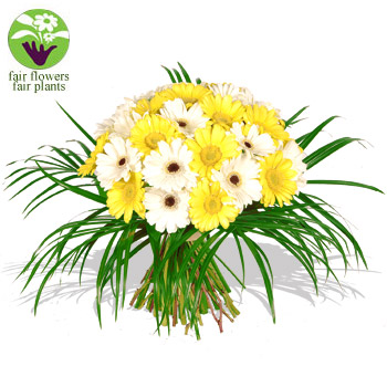 Unbranded Yellow and White Gerberas Bouquet - flowers