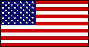 USA plastic flag, 11`` x 8``