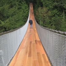 Vancouver City Tour and Capilano Suspension Bridge - Adult