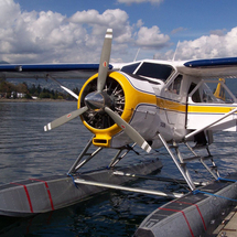 Vancouver Panorama Seaplane Tour - Child