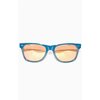 Vans Sunglasses - Spicoli (Blue)