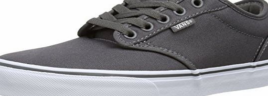 Vans M Atwood, Mens Skateboarding Shoes, Pewter/White, 10 UK