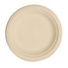 Bagasse Compostable Plate - Large (20 Pack)