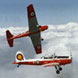Vintage Miltary Trainer Aerobatic Flight