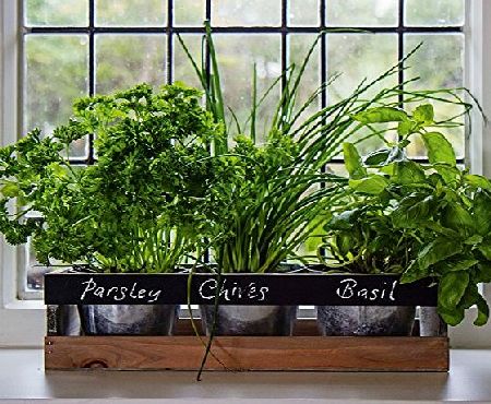 Viridescent Indoor Herb Garden Kit - by Viridescent - Wooden Windowsill Planter Box for the Kitchen. Includes All You Need to Grow Your Own Herbs. Perfect XMAS Gift Idea!