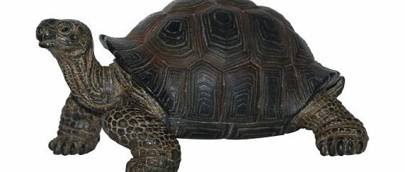Vivid Arts Ltd Pet Pal Baby Tortoise in Carrier