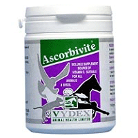 Ascorbivite Vitamin C Booster - 100g